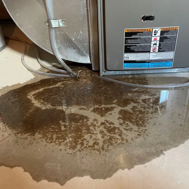 Pipe Burst and Leak Restoration in Bonneauville, PA