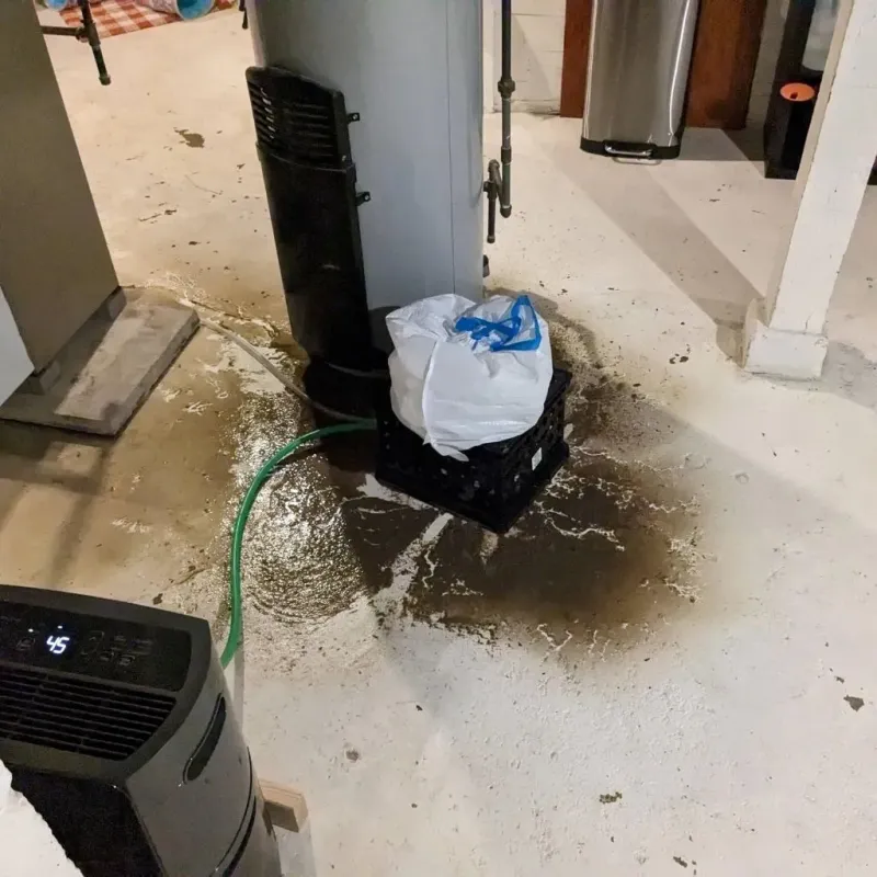 Sewage Backup Cleanup Service in Bonneauville, PA